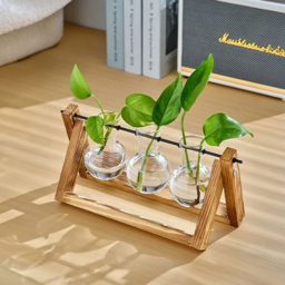 Living and Home 3 Piece Bulb Glass Terrariums with Wood Stand - Size: 13.8 x 28 x 9cm - Multi - Wilko - thumbnail 6