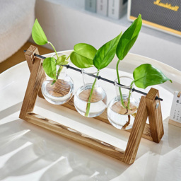 Living and Home 3 Piece Bulb Glass Terrariums with Wood Stand - Size: 13.8 x 28 x 9cm - Multi - Wilko - thumbnail 7
