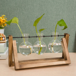 Living and Home 3 Piece Bulb Glass Terrariums with Wood Stand - Size: 13.8 x 28 x 9cm - Multi - Wilko - thumbnail 3