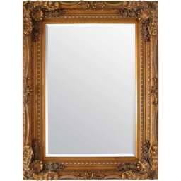 Carved Louis Gold Wall Mirror 122 x 91cm - MirrorOutlet - Wilko