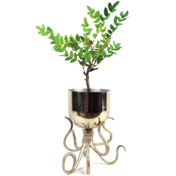 Botanik Silver Metal Octopus Bowl Style Planter with Stand 28cm - Size: 28 x 25 x 25cm - Wilko - thumbnail 5