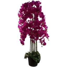 Botanik Giant Purple Orchid Artificial Plant in Pot 5ft - Size: 150 x 70 x 70cm - Wilko