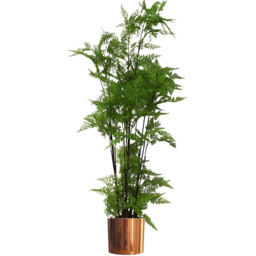 Botanik Polished Copper Finish Metal Planter 20 x 18cm - Size: 18 x 20 x 20cm - Wilko - thumbnail 6