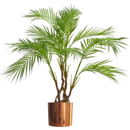 Botanik Polished Copper Finish Metal Planter 20 x 18cm - Size: 18 x 20 x 20cm - Wilko - thumbnail 4