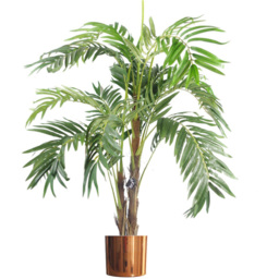 Botanik Polished Copper Finish Metal Planter 20 x 18cm - Size: 18 x 20 x 20cm - Wilko - thumbnail 5