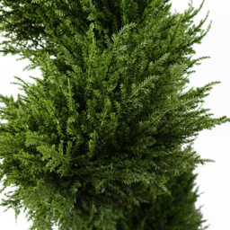 Botanik Artificial Spiral Cypress Topiary Tree 120cm - Size: 120 x 40 x 40cm - Green - Wilko - thumbnail 3