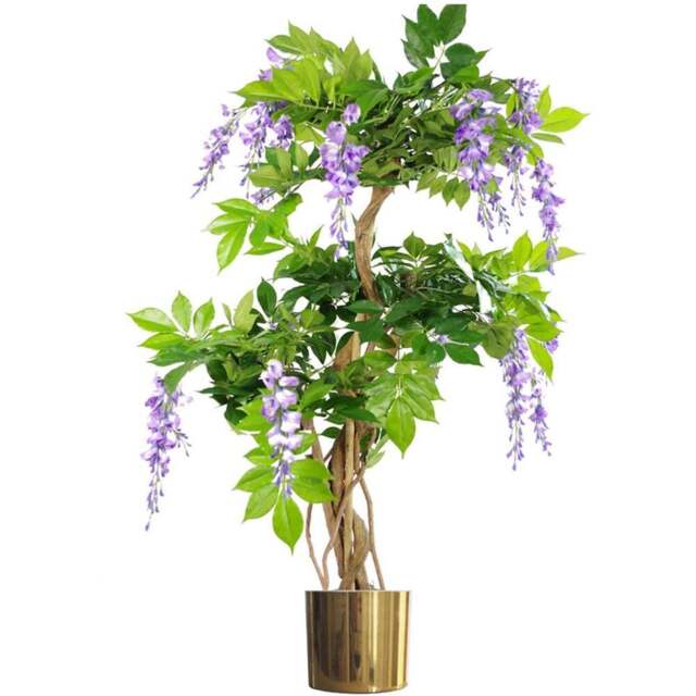 Botanik Purple Wisteria Artificial Tree in Gold Metal Planter 3.6ft - Size: 110 x 70 x 70cm - Green - Wilko - image 1