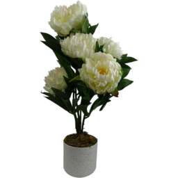Leaf White Peony Artificial Plant 55cm - Size: 55 x 30 x 30cm - Wilko - thumbnail 1