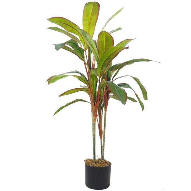 Botanik Dracaena Palm Artificial Tree in Pot 3.3ft - Size: 90 x 70 x 70cm - Green - Wilko - image 1
