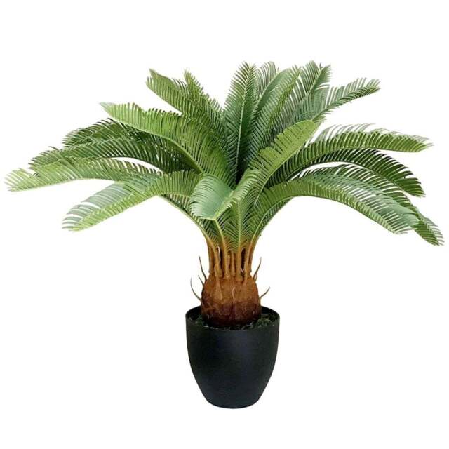Leaf Tropical Cycas Palm Artificial Tree 120cm - Size: 70 x 70 x 70cm - Green - Wilko - image 1
