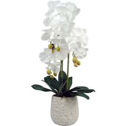 Botanik White Orchid Artificial Tree in Ceramic Bubble Planter 60cm - Size: 60 x 30 x 30cm - Wilko