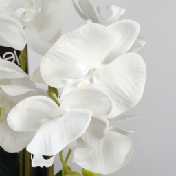 Botanik White Orchid Artificial Tree in Ceramic Bubble Planter 60cm - Size: 60 x 30 x 30cm - Wilko - thumbnail 4