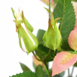 Leaf Pink Rose Artificial Plant 50cm - Size: 50 x 25 x 25cm - Wilko - thumbnail 6