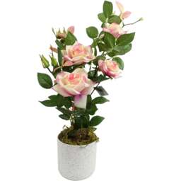 Leaf Pink Rose Artificial Plant 50cm - Size: 50 x 25 x 25cm - Wilko - thumbnail 1