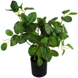 Botanik Variegated Pothos Foliage Artificial Plant in Pot 40cm - Size: 40 x 30 x 30cm - Green - Wilko