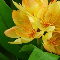 Leaf Yellow Flower Freesia Artificial Plant 18cm - Size: 18 x 25 x 25cm - Wilko - thumbnail 3