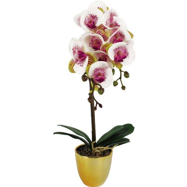 Botanik Pink Harlequin Orchid Artificial Plant in Gold Pot 48cm - Size: 48 x 20 x 20cm - Wilko - image 1
