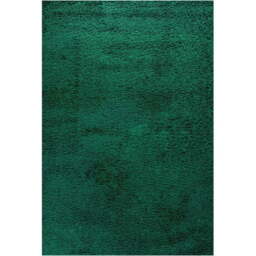Desire Rugs Oxford Emerald Plain Shaggy Rug 60 x 110cm - Wilko - thumbnail 1