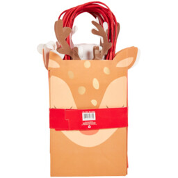 Pack of 8 Santa and Reindeer Shaped Party Bags - Multicolour - Crafty Club - Wilko - thumbnail 3