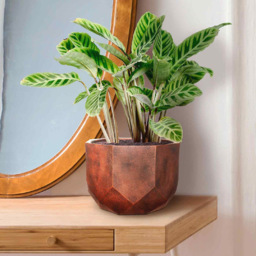 wilko Geometry Style Bronze Round Indoor Plant Pot 17cm - Instadecor - thumbnail 5