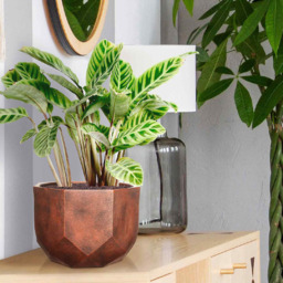 wilko Geometry Style Bronze Round Indoor Plant Pot 17cm - Instadecor - thumbnail 4
