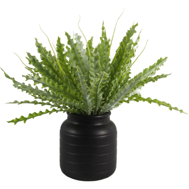 Leaf Black Vase Planter 13 x 14cm - Size: 14 x 13 x 13cm - Wilko - image 1