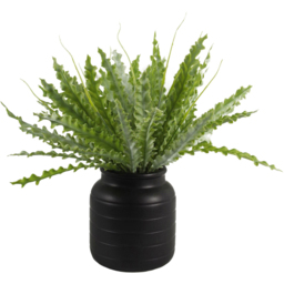 Leaf Black Vase Planter 13 x 14cm - Size: 14 x 13 x 13cm - Wilko