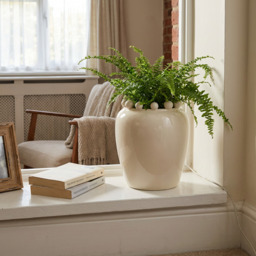 Large Ball Edge Planter Cream - Wilko - thumbnail 5