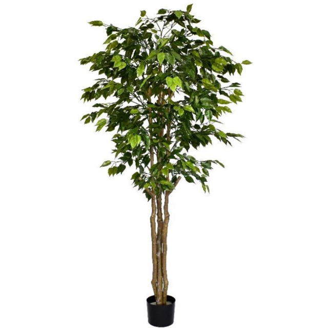 Leaf Deluxe Retusa Ficus Artificial Tree in Pot 6ft - Size: 180 x 70 x 70cm - Green - Wilko - image 1