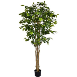 Leaf Deluxe Retusa Ficus Artificial Tree in Pot 6ft - Size: 180 x 70 x 70cm - Green - Wilko - thumbnail 1