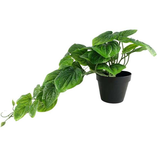Botanik Green Trailing Pothos Artificial Plant 35cm - Size: 35 x 40 x 30cm - Wilko - image 1