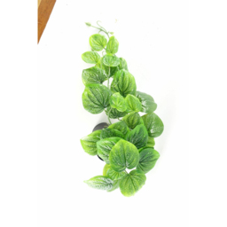 Botanik Green Trailing Pothos Artificial Plant 35cm - Size: 35 x 40 x 30cm - Wilko - thumbnail 6