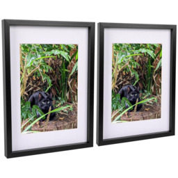 Nicola Spring Black 3D Box Photo Frame 12 x 17 inch 2 Pack - Size: 44 x 32 x 3.5cm - Wilko