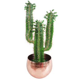 Botanik Copper Metal Straight Edge Hammered Planter 18 x 22cm - Size: 18 x 22 x 22cm - Wilko - thumbnail 3
