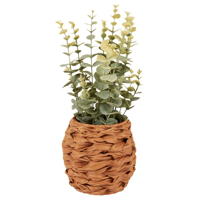 Eucalyptus in Water Hyacinth Basket 40cm - Green and Brown - Wilko - image 1