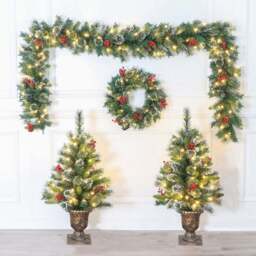 Frosted Berry Porch SetGreen - Size: 4 Pack - Wilko - thumbnail 3