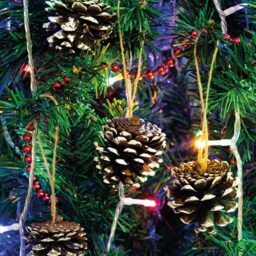 St Helens White Hanging Pine Cone Decoration 6 Pack - Wilko - thumbnail 4