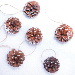St Helens White Hanging Pine Cone Decoration 6 Pack - Wilko - thumbnail 6