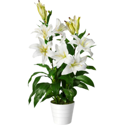 Leaf White Stargazer Lilly Artificial Plant in Plastic Pot 3ft - Size: 90 x 40 x 40cm - Wilko