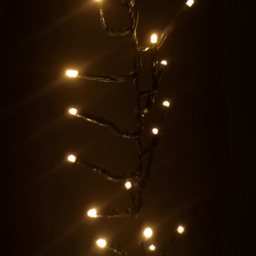 Premier ClusterBrights 960 Vintage Gold LED Cluster String Light 12.4m - Size: 5 x 1240 x 5cm - White - Wilko - thumbnail 4