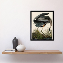 Artery8 Audubon Great Blue Heron Painting Framed Wall Art Print 30 x 41cm - Size: 43.3 x 33.3 x 1.5cm - Multi - Wilko - thumbnail 3