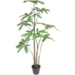 Botanik Dwarf Umbrella Artificial Tree in Pot 4ft - Size: 120 x 70 x 70cm - Green - Wilko