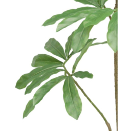 Botanik Dwarf Umbrella Artificial Tree in Pot 4ft - Size: 120 x 70 x 70cm - Green - Wilko - thumbnail 3