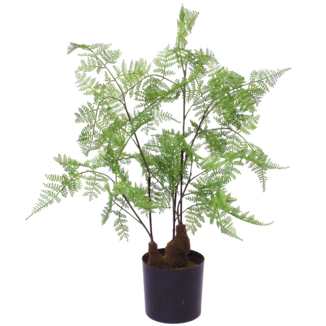 Leaf Moss Fern Artificial Plant Pot 60cm - Size: 60 x 40 x 40cm - Green - Wilko - image 1