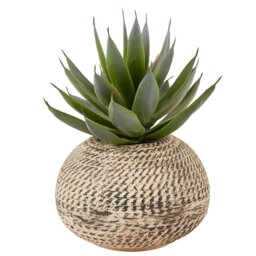 Aloe in Textured Pot - Green and Cream - Wilko - thumbnail 1