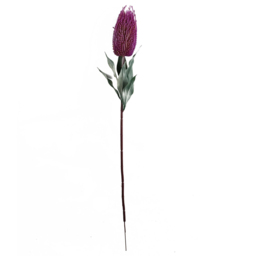 Leaf Pink Banksia Menziesii Artificial Stem 75cm 6 Pack - Size: 75 x 10 x 10cm - Wilko - thumbnail 5