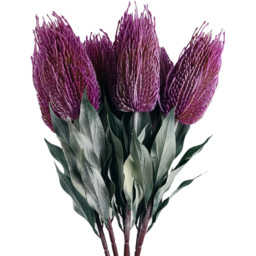 Leaf Pink Banksia Menziesii Artificial Stem 75cm 6 Pack - Size: 75 x 10 x 10cm - Wilko - thumbnail 3
