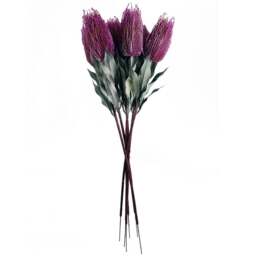 Leaf Pink Banksia Menziesii Artificial Stem 75cm 6 Pack - Size: 75 x 10 x 10cm - Wilko