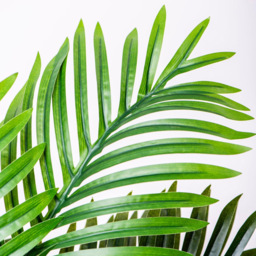 Garden Gear Artificial Palm Tree in Pot 90cm - Size: 90 x 17 x 17cm - Green - Thompson & Morgan - Wilko - thumbnail 4