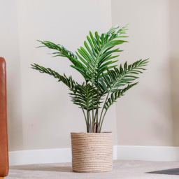 Garden Gear Artificial Palm Tree in Pot 90cm - Size: 90 x 17 x 17cm - Green - Thompson & Morgan - Wilko - thumbnail 7